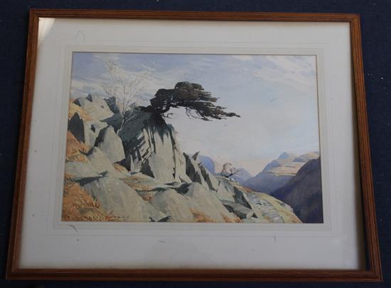 William Heaton Cooper (1903-1995) Trees and rocks, Patterdale 14.75 x 21in.